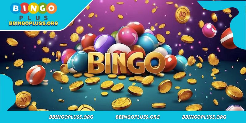 Key Highlights that make BINGO PLUS stand out