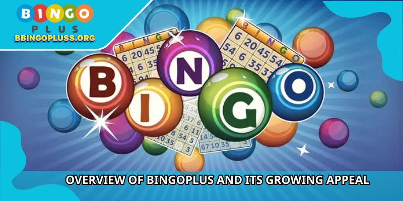 Overview of BINGOPLUS and Its growing appeal