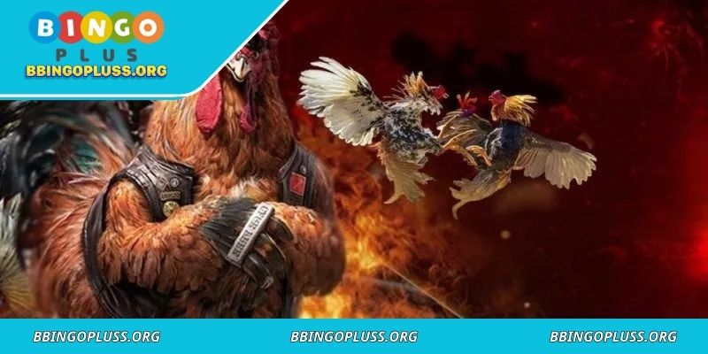 A traditional pit where roosters face off in barehand combat