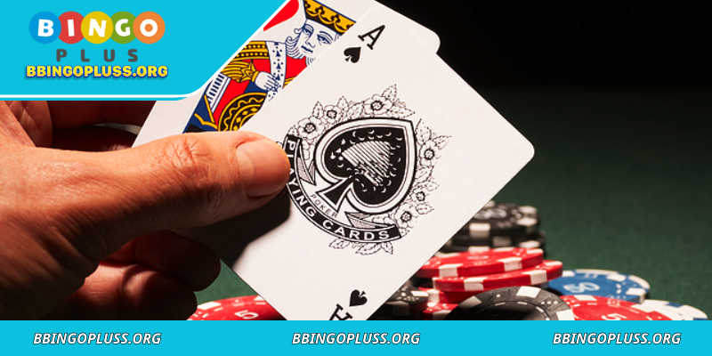 Bankroll grows with careful bet management