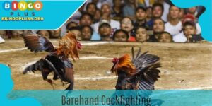 Barehand Cockfighting