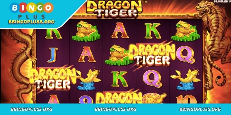 Brief introduction to Dragon Tiger