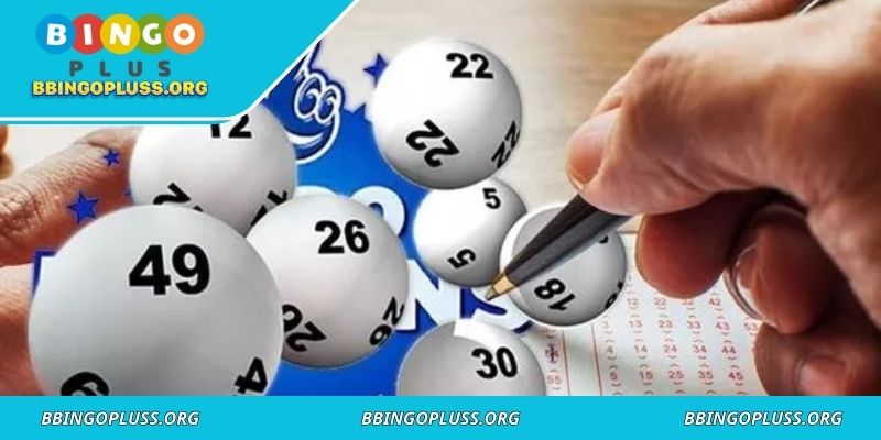 Exploring how lotto funds contribute to healthcare, education, and community projects.