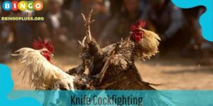 Knife Cockfighting