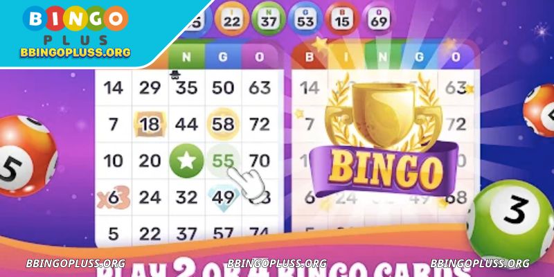 Lottery and number games