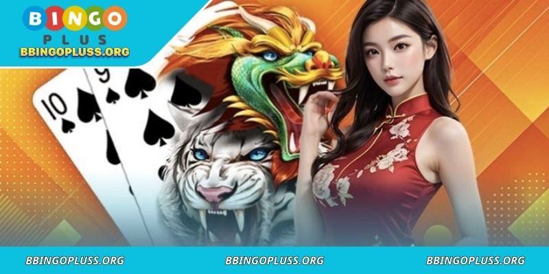 Play Dragon Tiger counting strategy
