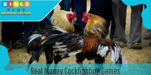 Real Money Cockfighting Games