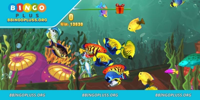 Royal Fishing creates a vivid underwater world