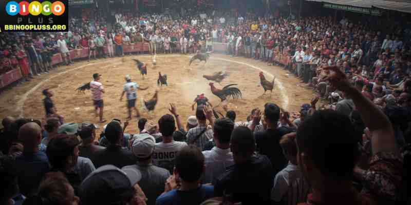 Traditional cockfighting arena with crowd watching a live sabong match